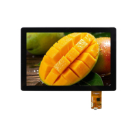 10,1 pulgadas 1024*600 Resolución 500NITs Pantalla táctil IPS Pantalla LCD de tipo TFT con interfaz de HD-M