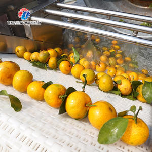 A gran escala de hortalizas de hoja de la máquina de limpieza de frutas verduras limpiador automático cítricos máquina lavadora de frutas - Product Image 5