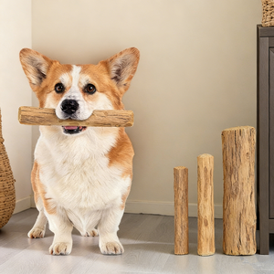 2025 Natural Coffee Wood Eco-friendly Squeaky Dog Grinding Stick Teeth Cleaning Exercise Wear-resistant <b>Bite</b>-resistant Halitosis - Product Image 2