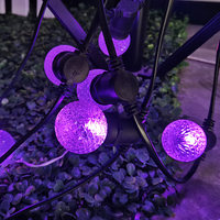 Guirlande lumineuse LED à bulles de cristal E17 personnalisée, étanche IP65, pour intérieur, extérieur, jardin, fête, Noël, décoration