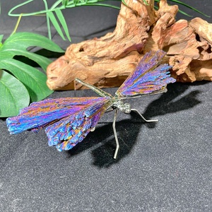 Bán Buôn Tinh Thể Tự Nhiên Aura Đen Tourmaline Mạ Điện Chữa Bệnh Con Chuồn Chuồn Đá Cho Trang Trí Nội Thất - Product Image 3