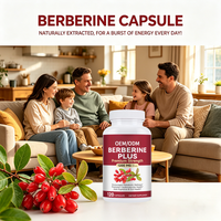 120 Capsules OEM Berberine Plus 1200mg – Soutient le Métabolisme, la Santé Cardiovasculaire et Immunitaire – Complément Alimentaire Compatible Keto