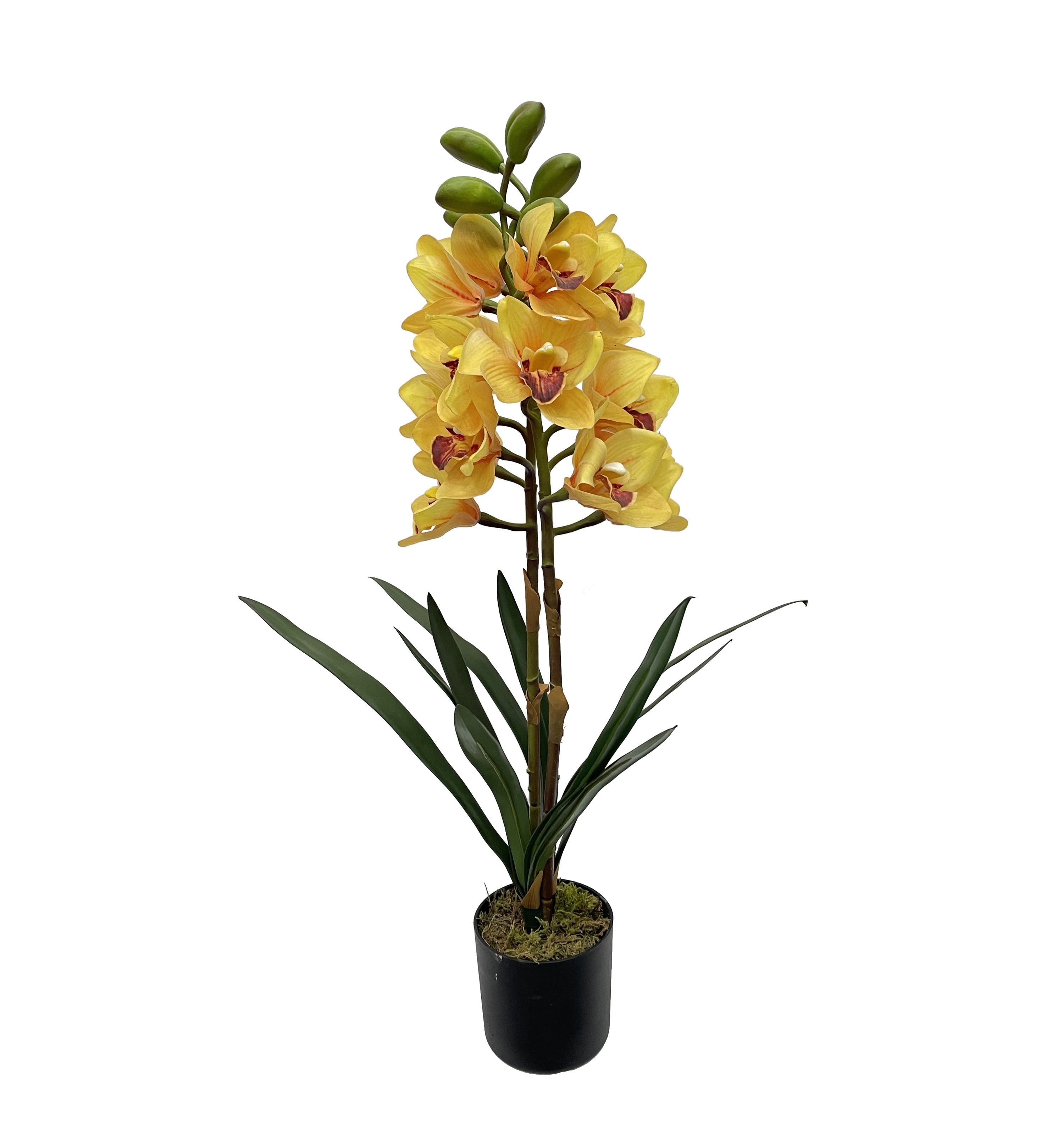 สีเหลือง