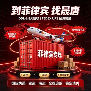 Expédition de fret aux Philippines, logistique internationale, DHL Express, Shenzhen, produits électroniques, ligne dédiée transfrontalière - Product Image 2