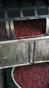 Coussin de siège de voiture en perles de bois jaune doré, anti-transpiration, ventilé, avec support massant, universel - Product Image 6