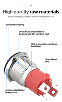 Botón Interruptor de 16 mm, IP65 Impermeable, Autobloqueante, con Luz Blanca de Alimentación, 15A, Metálico