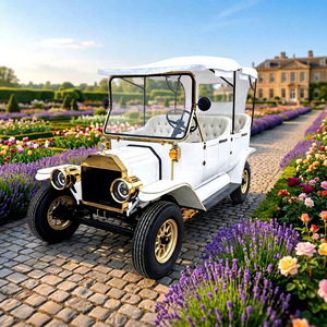Voitures classiques à bas prix, véhicules électriques de haute qualité, voiture électrique classique, voiture électrique classique blanche antique. - Product Image 1