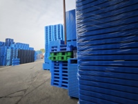 NEXARA Euro HDPE Recycle Material 1210 1200*1000*150mm Grid Surface Nine Runner Heavy Duty Palette pour le stockage