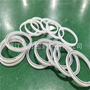 MAT'L: PTFE + aşındırma politetrafluoroethethsel mühürlü bahar enerji depolama halkası - Product Image 2