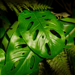 Piante per Rettili, Accessori per Terrari, Piante Artificiali Decorative per <span class=keywords><strong>Habitat</strong></span> di Gechi Leopardo e Draghi Barbuti - Product Image 1