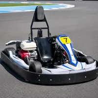 Go Kart de Carreras Compacto de 270cc, Motor de Gasolina de 4 Tiempos, Todoterreno, Freno de Disco Trasero, Transmisión por Cadena, Ligero y Resistente, para Adultos, para Parques de Diversiones
