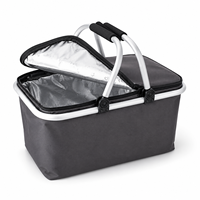 Panier isotherme pliable pour pique-nique, avec cadre en alliage, couvercle isolant, panier portable pour aliments et boissons, pour pique-nique, camping, shopping