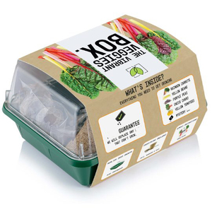 Juego de invernadero para hierbas, kit de cultivo de hierbas - Product Image 3