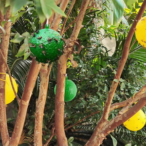 Trampa Adhesiva para Moscas de la Fruta, Control de Plagas, Trampa para Avispas, Abejas e Insectos de 8 cm, Trampas para Mosquitos para Interiores, Exteriores, Cocina y Plantas - Product Image 2