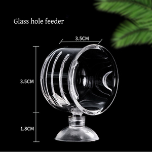 Fabriek <span class=keywords><strong>Aquarium</strong></span> Decoratie Opknoping <span class=keywords><strong>Aquarium</strong></span> Mini Kristal Acryl Glas Water Planten Cilinder Beker Voeding Accessoires - Product Image 3