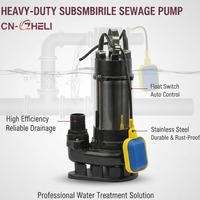 Pompa Sommergibile Portatile ZHELI 230V 0.5HP 1HP 400W 550W 750W 1100W per Giardino, Acque Reflue e Acque Sporche con Interruttore a Galleggiante