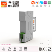 Disjoncteur intelligent WiFi en cuivre et plastique 1P+N TUYA avec compteur, 63A, télécommande sans fil pour usage industriel et domestique