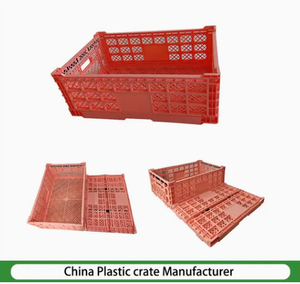 Contenitori in Plastica per Trasporto - Stoccaggio/Consegna di Frutta e Verdura - Settore Retail/Magazzino/Logistica/Industriale/Automotive - Product Image 5