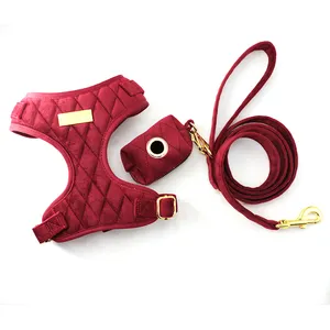 Coleira de cachorro personalizada de luxo, coleira de peitoral confortável para cachorros com coleira e coleira com saco de cocô