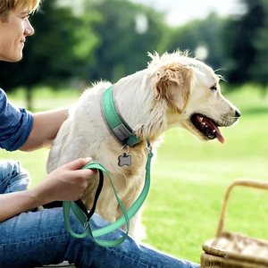 Gepolsterte Hunde halsbänder für kleine mittelgroße Hunde Reflektierende breite Haustier halsbänder Verstellbares Hochleistungs-Hunde halsband aus Nylon-Neopren - Product Image 4