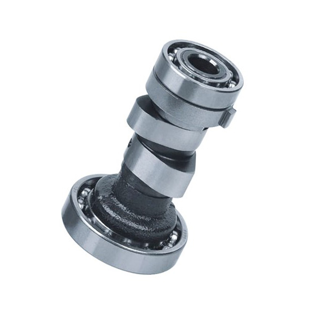 Высококачественные детали для мотоциклов, стальной Распредвал для мотоцикла для DY100 от Growsun Motor