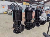 Pompe submersible pour eaux usées WQ, pompe à eaux usées, pompe à eaux usées avec fonction de découpe, pompe à eaux usées à haut débit, pompe submersible pour eaux usées en acier inoxydable 304