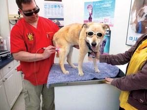 10w 20w 30w Kelas 4 perangkat terapi Laser, perangkat terapi Laser penghilang rasa sakit Kelas IV 980nm 1064nm - Product Image 4