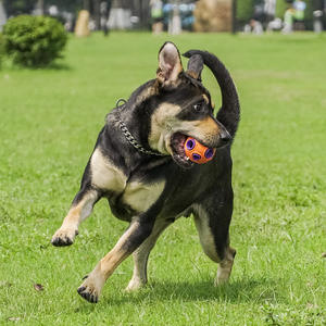 Pelota de juguete para masticar de goma de doble capa indestructible personalizada, tratamiento de mordida interactivo ligero ecológico para perros - Product Image 4