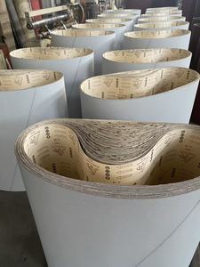 Nastri Abrasivi in Carburo di Silicio Leopard White di Dimensioni Personalizzate <span class=keywords><strong>per</strong></span> Levigatrici <span class=keywords><strong>a</strong></span> Tamburo - Product Image 6