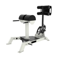 Équipement de fitness professionnel : Chaise romaine pour le développement des fessiers et des ischio-jambiers, entraînement de la force des jambes et des abdominaux