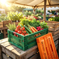 Caisse en plastique pliable robuste, empilable et pliable, pour la logistique de congélation des fruits et légumes