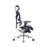 Chaise de bureau ergonomique réglable en hauteur, pour les douleurs du dos, forme en X, support lombaire, pour le gestion