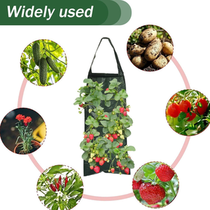 Pimiento picante al revés, bolsas para macetas de fresa, bolsa para cultivo de fresa colgante de tomate con 4 agujeros - Product Image 6