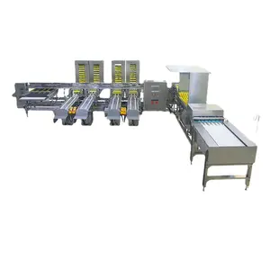 Máquina de processamento de classificação de ovos industrial de fábrica/classificador de ovos/equipamento de classificação de ovos para venda