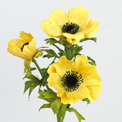 สีเหลือง