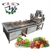Industriële hogedrukreinigingsmachine voor vers fruit (mango, appel) en groenten met luchtbellen