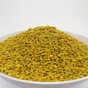 Polline d'Api di Grano Saraceno Nuova Stagione di Alta Qualità per Apicoltura e Consumo Umano - Product Image 4
