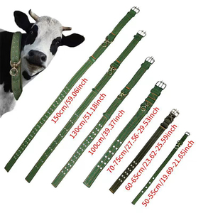 Attrezzatura per <span class=keywords><strong>Animali</strong></span> da Fattoria, Corda Speciale da 1M per Collare di Bovini e Ovini, Cinghia per Collo di Bestiame, Nuovo Cinturino in Tela Resistente a 4 Strati in Nylon - Product Image 3