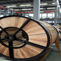 Cable XLPE reticulado con núcleo de cobre de fábrica, Cable ignífugo subterráneo con chaqueta de PVC de 0,6/cuadrado de 2X4 1kV,/1kV