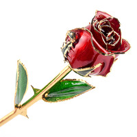 Hari Valentine Ibu Hadiah Terbaik Mewah Alami Segar Asli Lapis Emas 24K Bunga Mawar Emas Alami Dicelup