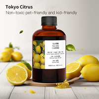 Huile parfumée Tokyo Citrus 500ml pour diffuseurs d'arômes, huile essentielle pure de plantes, parfum naturel longue durée