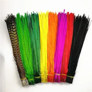 Çoklu renk 20-22 "/50-55 cm boyalı doğal Ringneck sülün tüyler Fly bağlama için karnaval Samba kostüm Costume aksesuar