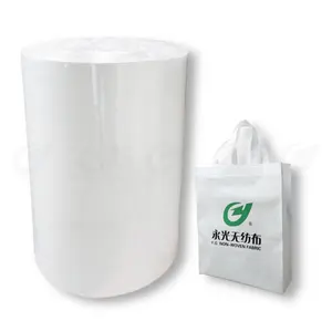 リサイクル素材RPET不織布ギフトバッグカスタムロゴプロモーションショッピングバッグ不織布バッグ生地メーカー