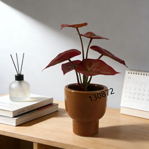 <span class=keywords><strong>ต้น</strong></span>คาลเลเดียม<span class=keywords><strong>สี</strong></span><span class=keywords><strong>แดง</strong></span>เข้มประดิษฐ์ในกระถางเซรามิก<span class=keywords><strong>สี</strong></span>อำพัน <span class=keywords><strong>ต้น</strong></span>ไม้ปลอมดูแลง่ายสำหรับบ้านสไตล์โมเดิร์นกลางศตวรรษ - Product Image 1