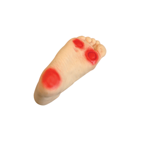 चिकित्सा विज्ञान प्रशिक्षण और नैदानिक उपयोग के लिए BIX-HS19 उन्नत मधुमेह पैर देखभाल मॉडल - Product Image 1