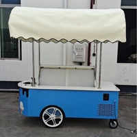 Chariot de Vente de Gelato et Crème Glacée Robuste à Pousser à la Main avec Évier et Congélateur à Plateau Froid