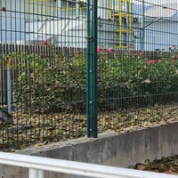 Grillage de protection robuste en fil d'acier galvanisé et revêtu de PVC double face anti-escalade pour entrepôts australiens