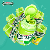 Chewing-gum sans sucre au xylitol, saveur menthe DOUBLEMINT originale en bouteille, 64g, vente en gros de xylitol