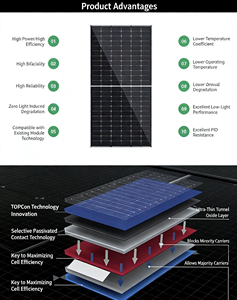 แผงโซลาร์เซลล์แบบสองหน้า Solar JKM650-670N-66QL6-BDV-F2-EN, โมดูล N-Type TOPCon กำลังไฟ 650-670 วัตต์, ประสิทธิภาพ 855%, 24.8%, กระจกสองชั้น, มาตรฐาน IP68 - Product Image 5