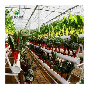 Agricultural Greenhouse Manufacturer A-frame Soilless Cultivation Hydroponic Growing System